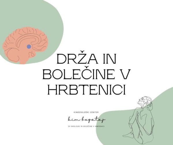 Predavanje Drža in bolečine v hrbtenici - uvod v fascije