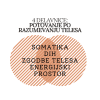 4 DELAVNICE: POTOVANJE PO RAZUMEVANJU TELESA