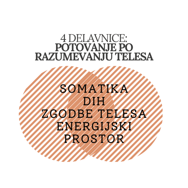 4 DELAVNICE: POTOVANJE PO RAZUMEVANJU TELESA
