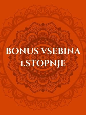 BONUS VSEBINA REIKI TEČAJA 1. STOPNJE