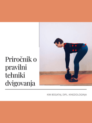 BREZPLAČNI PRIROČNIK