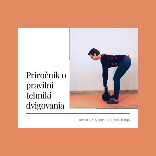 BREZPLAČNI PRIROČNIK