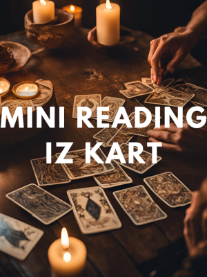MINI READING IZ KART
