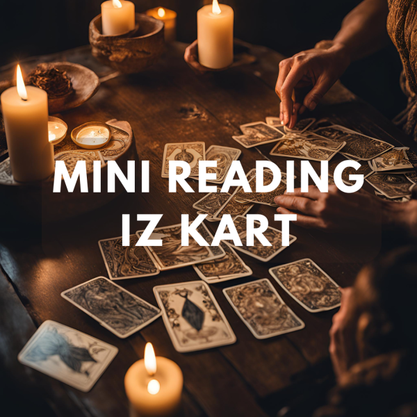 MINI READING IZ KART