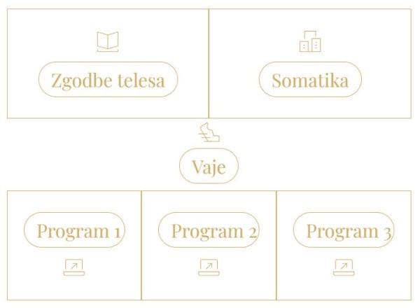 SKOLIOZA PLATFORMA TELESA - Skolioza