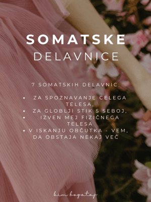 Somatske delavnice - celotne