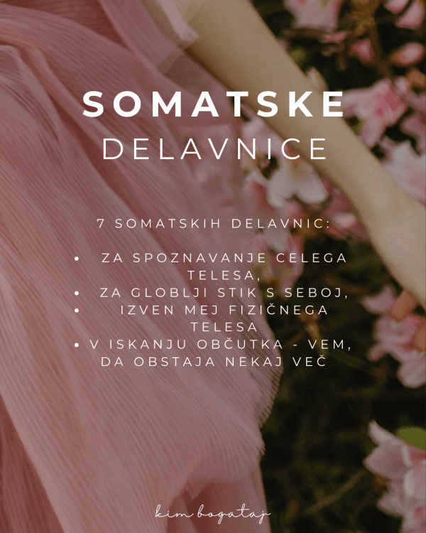 Somatske delavnice - celotne