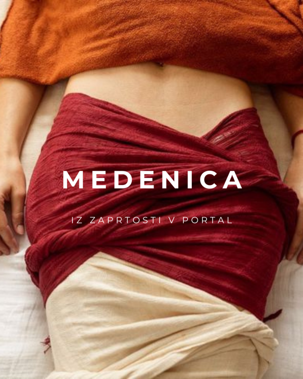 Somatske delavnice Medenica