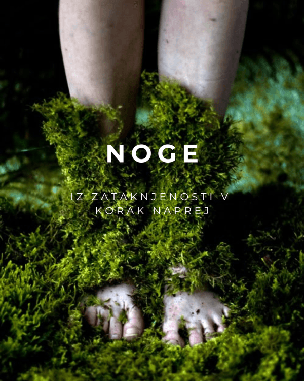 Somatske delavnice Noge