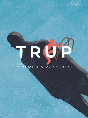 Somatske delavnice Trup