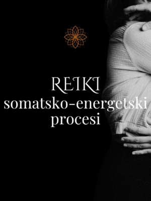 Reiki somatsko-energetski procesi